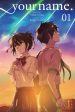 Your Name GN VOL 01 Online